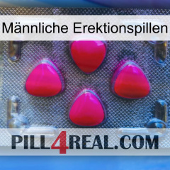 Männliche Erektionspillen 13